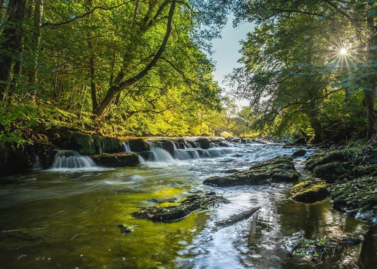 Готель Lowther Park Clifton  Екстер'єр фото